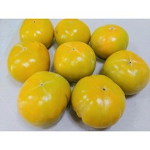 창원 단감 (대과) 3kg 5kg 10kg, 12개(내외), (대)3kg