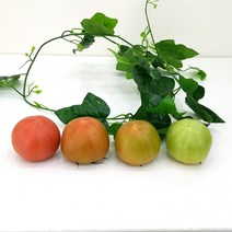 싱싱한 토마토 2.5kg 3.5kg 4.5kg 맛보기1.5kg, 맛보기1.5kg(실중량)