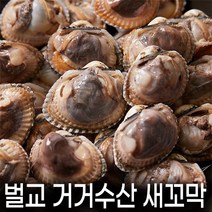 벌교 거거수산의 실패 없는 득량만 새꼬막 2kg 단위, 새꼬막 상품 4kg (20mm이상/무침or비빔밥용)