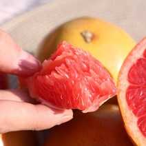 수입과일 레드자몽 프리미엄 고당도 자몽 10과, 고당도 자몽 대과 10과 3kg내외