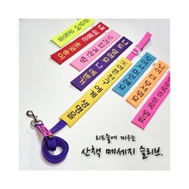 (초코송이네 커스텀)강아지 산책 메세지 슬리브, 11