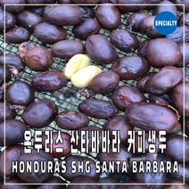 (커피생두) 60 온두라스 산타바바라 SHG 500g