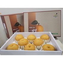 산지직송 나주배 7.5kg 신고배 선물용배 제수용배 가정용배 음식용배 못난이배 도솜마켓 아기간식 배 맛있는배 햇배 추석배 추석배선물 명절배선물, <특품>7.5kg(7-10)과), 1개” class=”wr-img”></a></div></p></div></p></div></p></div><div class=