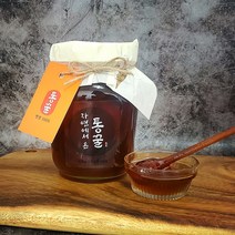자연에서온 통꿀-감로꿀 벌꿀100% 1.2kg, 1병