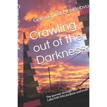 Crawling out of the Darkness: The journey through the Labyrinth into purpose and truth Paperback, Independently Published