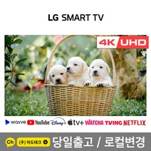 LG 43인치 4K UHD 스마트 TV 43UN7300 리퍼브 / 블루투스 / 빅스비, 3. 지방권역 스탠드 +HDMI 2.0