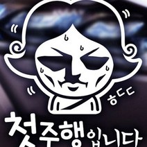 마이몰12 오대오 첫주행 초보 반사 차량용스티커 유리스티커