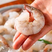 새우철 프리미엄생 칵테일 1kg 감바스, 칵테일새우 (16/20) 특대