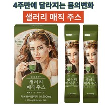 혈관질환개선 장운동 섬유질풍부 라본즈아 샐러리매직주스 이너뷰티 식이섬유 피부고민개선 체중관리 사은품지급, 샐러리매직주스1박스(14포)