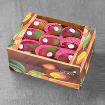 생 애플망고, 9개, 400g