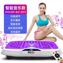 홈 트레이닝 쉐이크 보드 진동 덜덜이 전신 운동 기구 슬리밍 흔들 체중 감소 스포츠 피트니스 기구, 본상품, B