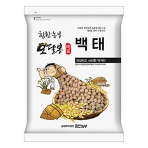 핫한 메주콩한말 인기 순위 TOP100