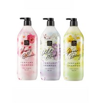 미쟝센 알뜰형 1100ml 대용량 샴푸 컨디셔너 모음, 체리 컨디셔너 1P, 본상품선택