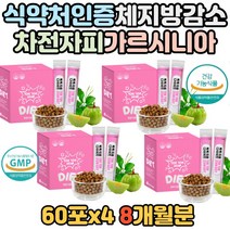 피하지방 렙틴 감소 가르시니아 차전자피 식이섬유 L카르니틴 아연 장 건강 건강한 다이어트 살빼기 영양제 30대 40대 보조제 한달 30일 단기간 3일 7일 체지방 컷팅제 줄이는법