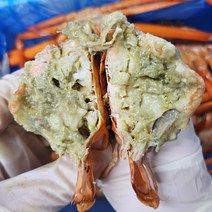 [성이수산] 산지직송 제철 연지홍게 3kg 자숙 (찜) 당일발송, [고급형]연지홍게3kg(찜)