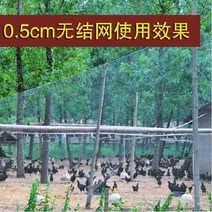 양계망 울타리망 과수원 닭망 새망 능형망 휀스, 0.5cm 메쉬 폭 1m 길이 20m
