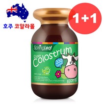 초유 단백질 칼슘 200정 츄어블 2개 호주직구 호주코알라몰 스프링리프, 200정 2개