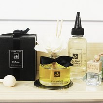 에떼 실버마운틴워터 차량용 고급디퓨저 100ml 방향제 B08, T오우드우드