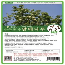 팥배나무10g