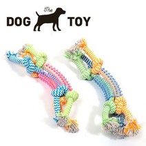펫모닝 덴탈 로프 토이(색상임의 발송) 강아지 장난감, 1개