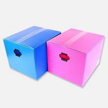 이사박스 피피박스 대 48cmx35x W, 블루/옵션