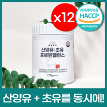 산양 초유 단백질 분말 100% 식약처 인증 해썹 산양유 단백질 식약청 인정 순수 프로틴 단백질보충제+슈가 사은품, 산양초유프로틴(12통)+슈가 증정품