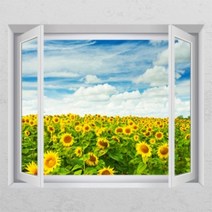 아트박스/꾸밈 cc065-기분좋은해바라기_디자인시트지, A타입-내부창문형