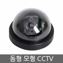 W0101B2L 돔형 모형 CCTV 감시카메라 보안 방범 안전