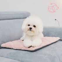 마이또 팻럽 반려동물 온열매트 전용커버, 차콜 동그라미