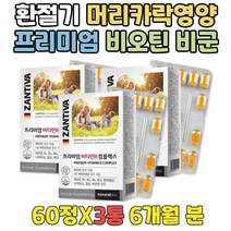 청소년비타민 필수영양제 고농축비타민B 나이아신 계속졸린이유 피곤함 기운이없을때 피곤할때비타민 체력보충 복합영양제 B12 비타민6 비타민B수용성 VITAMINB12 비타민B3 캡슐
