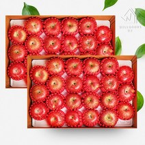 웰굿 [웰굿]경북 정성담은 명품 사과선물세트 총10kg(5kg(19-22과)x2), 1