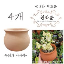 금란의정원 국산 원화분 23번 4개