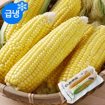 다온푸드 [신선한] 국내산 냉동 초당옥수수 7팩(14개입)/특사이즈 17~20cm, 단품없음
