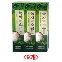 (디앤티) 녹차치약 소금치약 잇몸치약 솔잎치약 개운한치약 3개입x3개