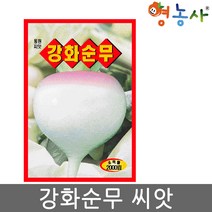 강화순무씨앗 2000립, 강화순무