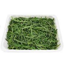 그린팜 생 와일드루꼴라 250g, 단품