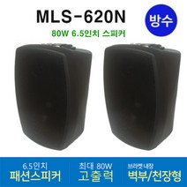 MLS-620N 패션스피커 6.5인치 80W 방수형 블랙2개가격