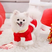강 아지옷 겨울옷 따뜻한 특이한 강아지 옷 귀여운 브랜드 후리스 맨투맨 실내복 48, 사자춤 Gong Xi Fa Cai 양발 당나라 수, xxl-weight 권장 사항(14-18)