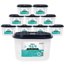 인블리스 옷장습기제거제 250g 제습제 9+1개, 단품