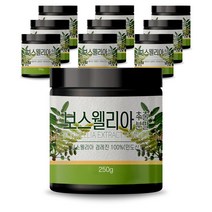 초담식품 보스웰리아 추출 분말 가루 250g, 10개