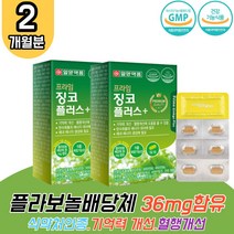 일양약품 징코 플러스 은행잎추출물 2박스 대용량 고함량 비타민B 아연 플라보놀배당체 피부 건강 피부보습에도움 뇌영양제 고3 수험생 청소년 부모님 할머니 할아버지 중년 ginko GINKGO