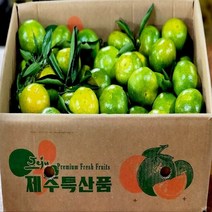 탐라인 제주 조생 유라조생 극조생감귤 중과 3kg내외, 1box, 3kg