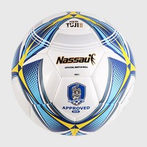 NS 뉴 투지 축구공 5호