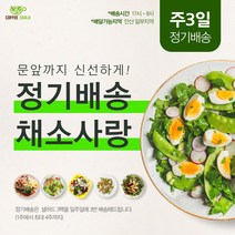 안산샐러드정기배송 2주X3일 6회 [ 안산샐러드 배달 ], 15시~16시, D