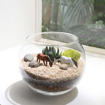 비오스 다육 테라리움 DIY 키트-언덕 위 초원 다육식물 DIY세트, B. 언덕위초원