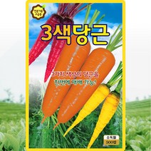 3색당근 씨앗 당근 씨 종자 500립, 단품