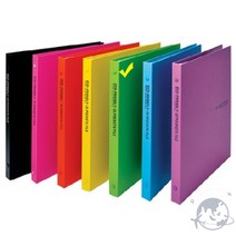 VEDANA 클리어화일 A4 20매 연두색 보험증권파일