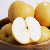 나주농협 22년 햇 추황배 가정용, 추황배 5kg 6~11과
