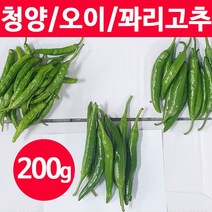 국산 청양고추 오이 풋고추 꽈리고추 200g 500g, 꽈리고추 500g (112-140개)