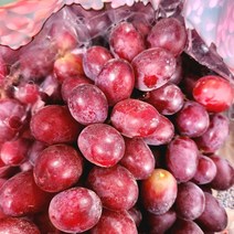 고당도 프리미엄 크림슨포도 씨없는포도, 크림슨포도1.6kg[2팩]